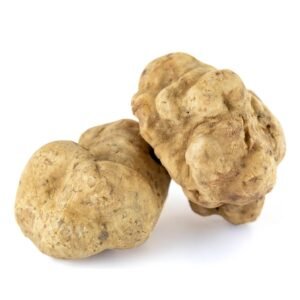 Бял трюфел - Tuber Magnatum (20g (0.70oz))
