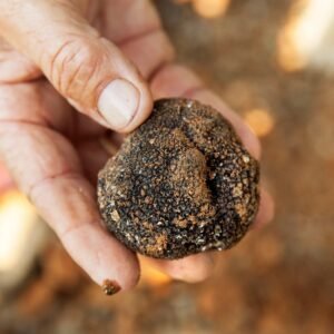 Черен трюфел (Tuber Melanosporum) (1kg (35.2oz) / Първо качество)