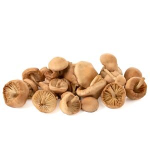 Сушена ливадна печурка (60g)