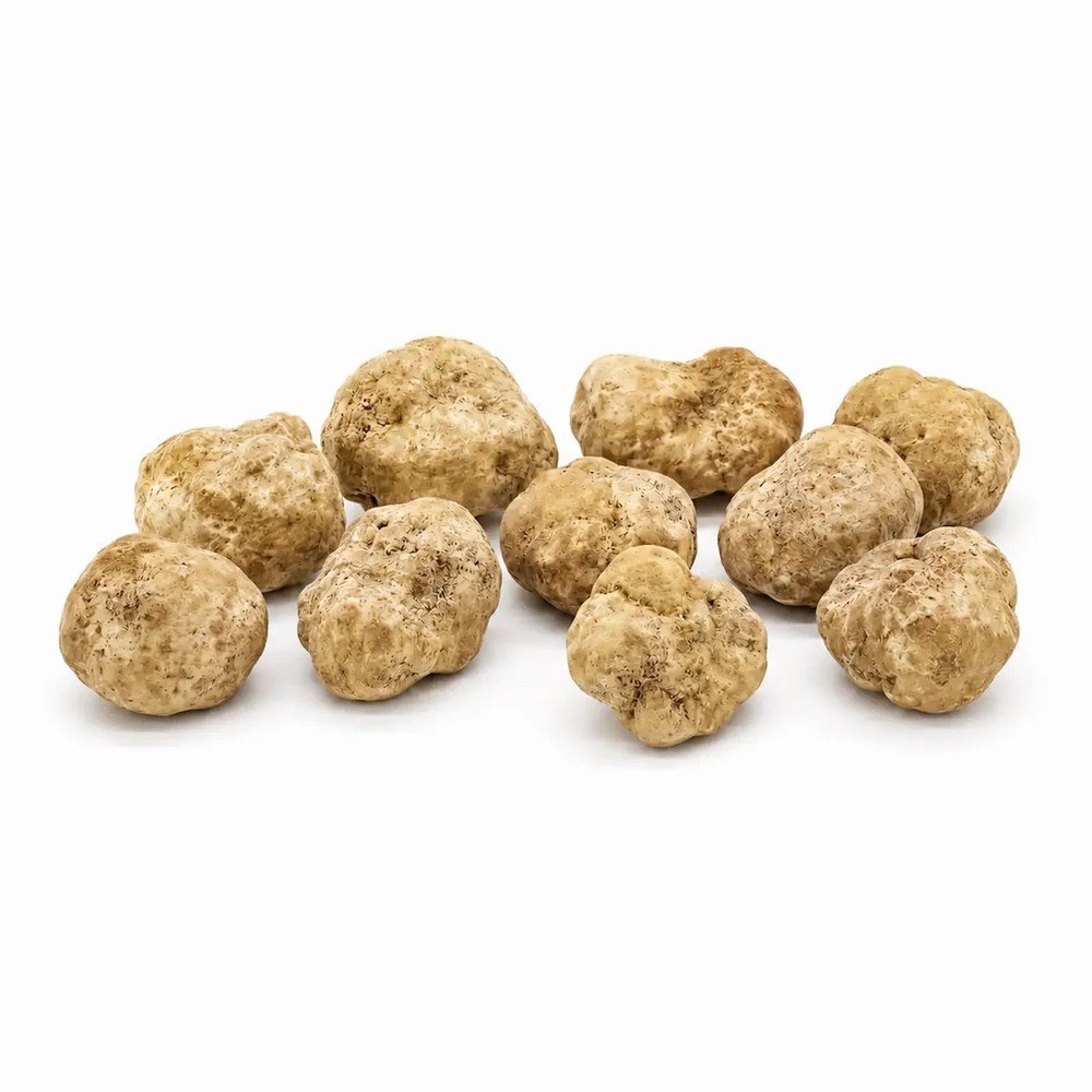 TR-5fc616_img01 пресен Tuber magnatum Бял трюфел – Среден Size (50 g) - Image 1