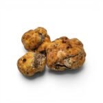 пресен пролет Бял трюфел – Tuber borchii (Екстра Grade) (100 g)
