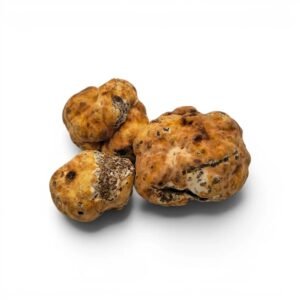 пресен пролет Бял трюфел – Tuber borchii (Екстра Grade) (100 g)