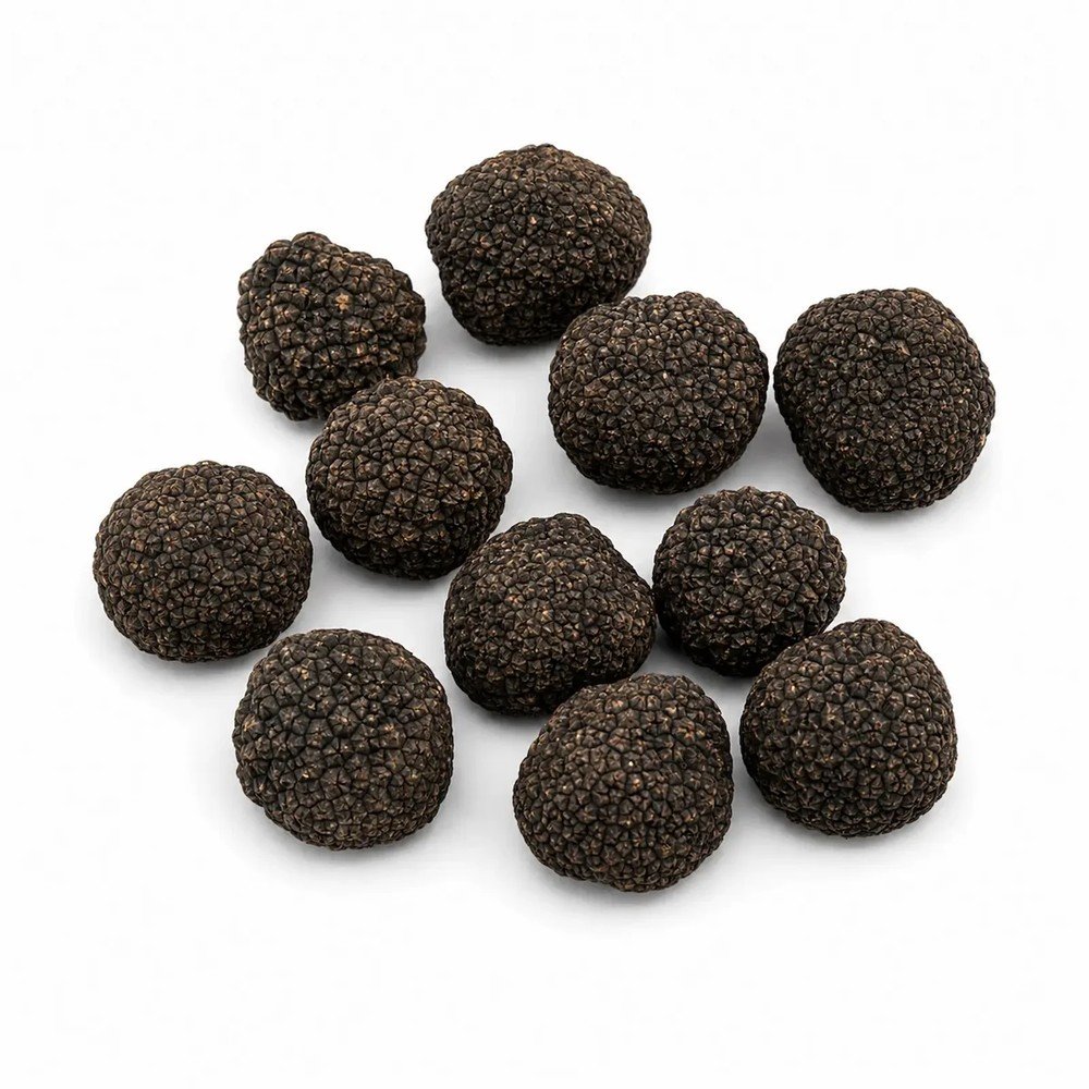 пресен Burgundy Трюфел – Tuber uncвatum (B Grade) (100 g)