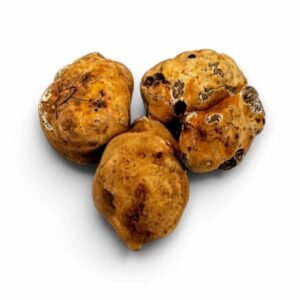 пресен пролет Бял трюфел – Tuber borchii (A Grade) (1 kg)