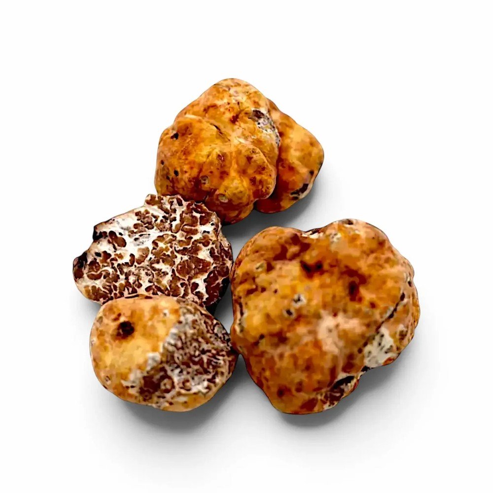 пресен пролет Бял трюфел – Tuber borchii (B Grade) (1 kg)
