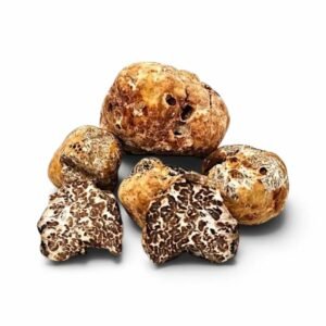 пресен пролет Бял трюфел – Tuber borchii (B Grade) (1 kg)