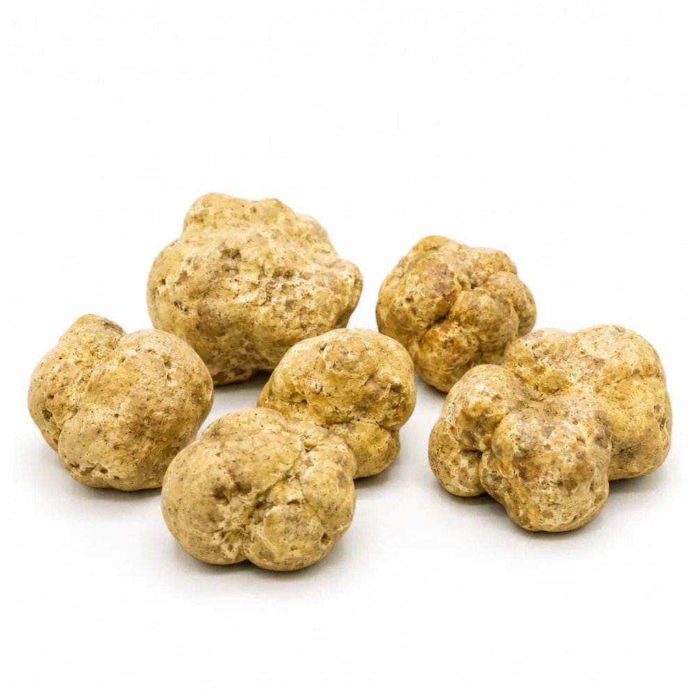 пресен Tuber magnatum Бял трюфел – Голям Size (50 g)