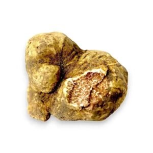 пресен Tuber magnatum Бял трюфел – Голям Size (50 g)