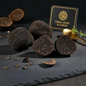 пресен Черен трюфел – Tuber melanosporum (B Grade) (500 g)