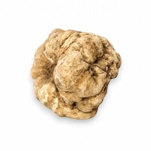 пресен Tuber magnatum Бял трюфел – Огромен Size (200 g)