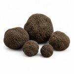 пресен Летен трюфел – Tuber aestivum (Екстра Grade) (500 g / 20–50 g)