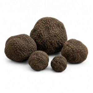 пресен Летен трюфел – Tuber aestivum (Екстра Grade) (500 g / 50–100 g)